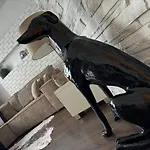 Apartment Nowa - Komfortowe 61m2 - 3 Pokoje, Garaz, Klimatyzacja *