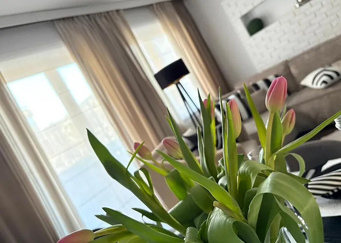 Nowa - Komfortowe 61m2 - 3 Pokoje, Garaz, Klimatyzacja